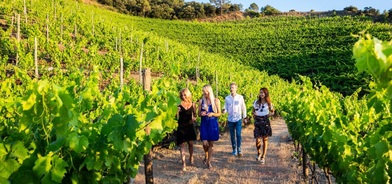 perinet wine tours - Wine Paths